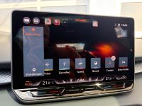 Cupra Terramar VZ 2.0 TSI DSG 4Drive PANO AHK 5J GAR bei Autohaus Landmann & Maier OHG