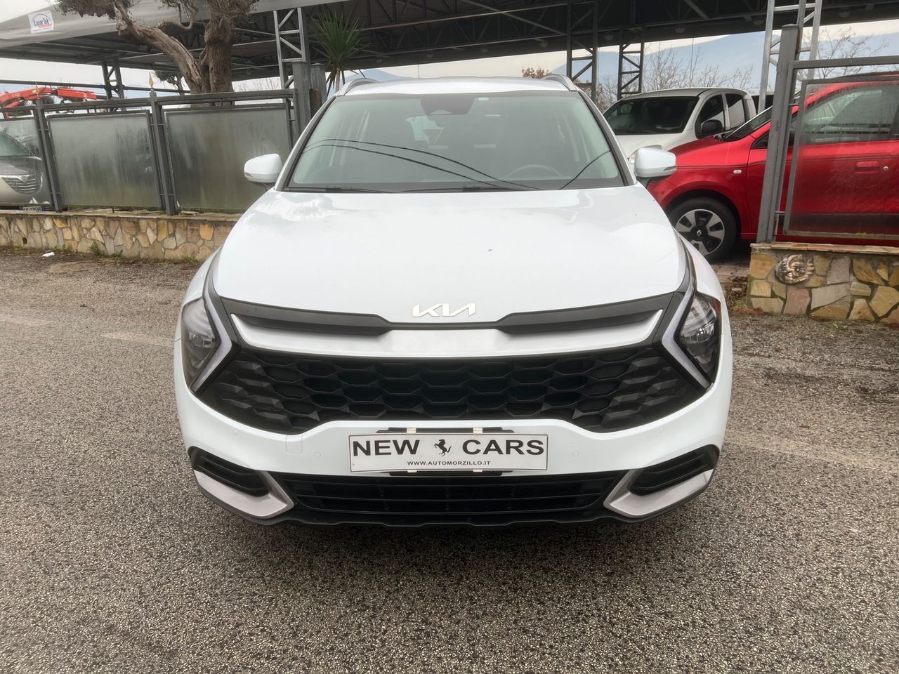 Kia Sportage 1.6 CRDI 136 CV 2WD Mild Hybrid Sty