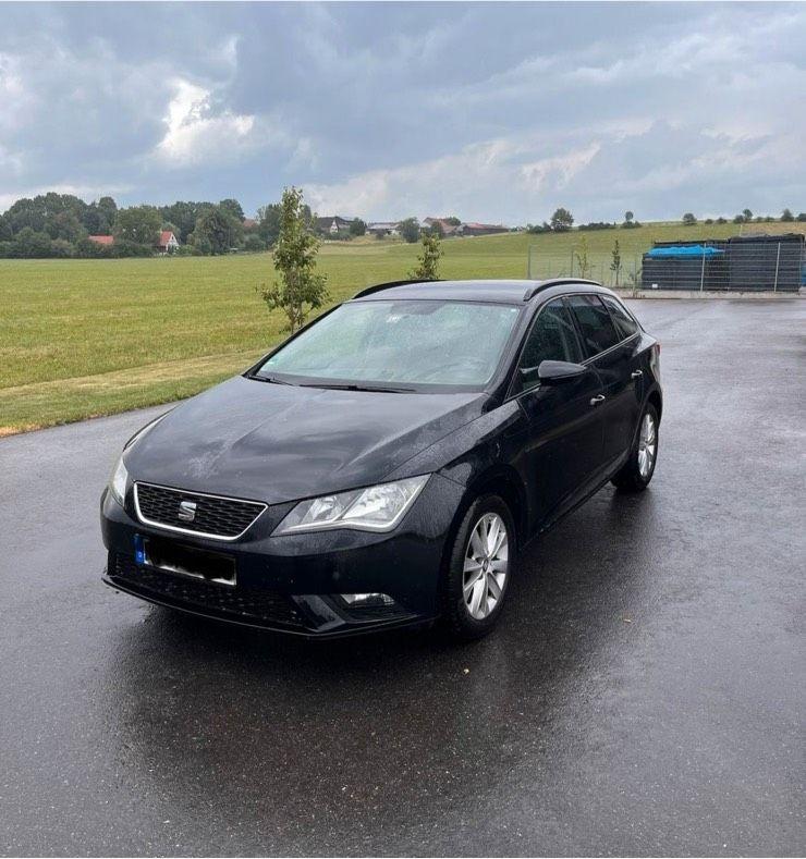 Seat Leon 2014 — вигляд ззаду