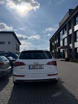 Audi SQ5 3.0 TDI plus tiptronic quattro - - Audi SQ5: Plus