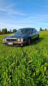 Jaguar XJ8 l V8 - gebrauchte Jaguar XJ8 aus dem Jahr 1998