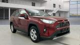 Toyota RAV 4 RAV4 4x2 Comfort - rote Toyota RAV 4