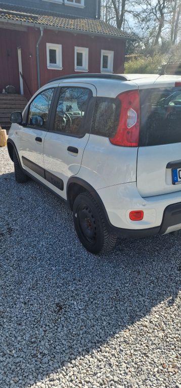 Image of Fiat Panda