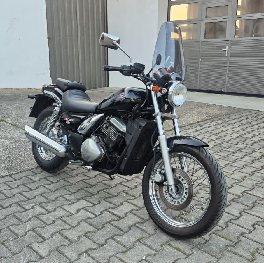 Kawasaki Eliminator 250 EL 250 B EL 252, Sissybar
