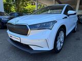 Skoda Enyaq iV 60 Loft Navi Matrix Virtu Tempo AHK 1.H - Skoda Enyaq in Stuttgart