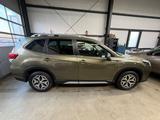 Subaru Forester 2.0 Navigation Automatik Hybrid - Subaru Forester Gebrauchtwagen