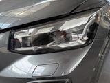Audi SQ2 AHK PANO KEYLESS ACC SHZ Panodach AHK Navi - Audi SQ2