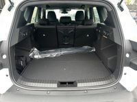 Dacia Bigster - Vorschau Bild 13