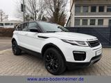 Land Rover Range Rover Evoque 2.0 TD4 SE AWD·DAB·Panorama - : Geländewagen, Awd
