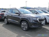 Skoda Karoq - Vorschau Bild 2