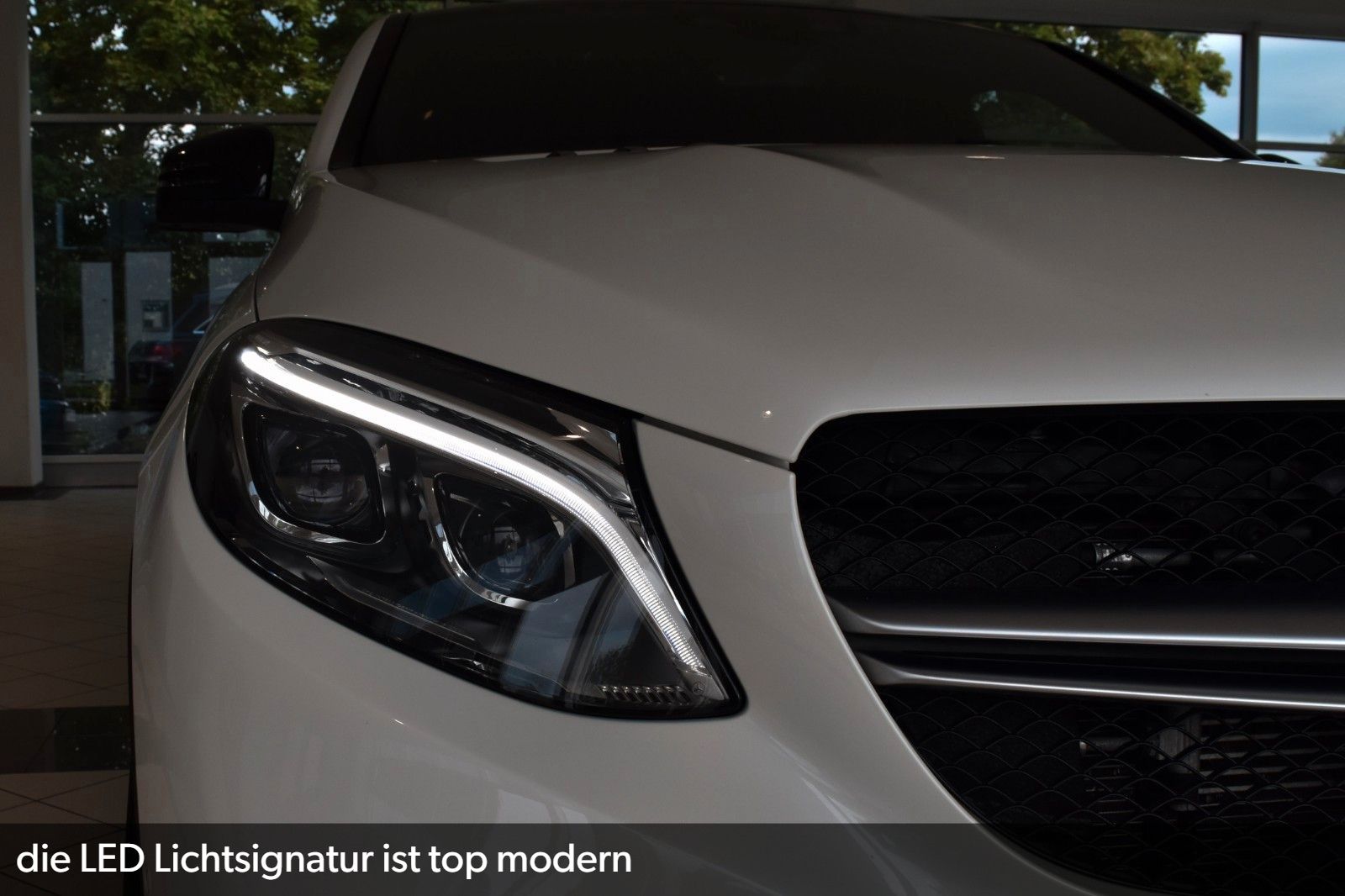 Fahrzeugbild 11
