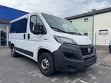 Fiat Ducato Kombi 30 140 L1H1 RS: 3000 mm*8-SITZER* - Fiat Ducato: 30