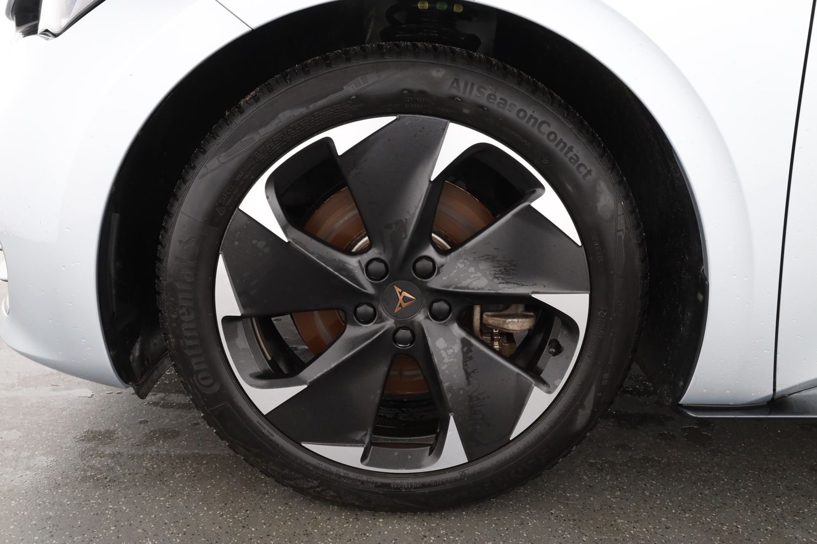 Cupra Born - Bild 8
