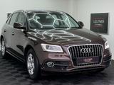 Audi Q5 2.0 TDI S-Line*AHK*ACC*Kamera*Alcantara - Audi Q5: Braun