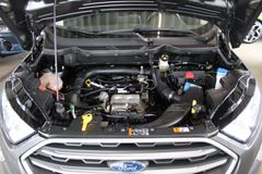 Fahrzeugabbildung Ford EcoSport COOL & CONNECT NAVI + Winter Paket
