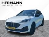 Ford Kuga 2.0 EcoBlue ST-Line X AHK*CAM*LED*NAVI*SHZ