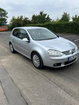 Volkswagen Golf 5 / V 1.6 - Volkswagen Golf aus 2006: 1.6