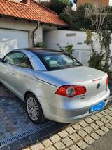 Volkswagen Eos 1.6 FSI Standard - Volkswagen Eos Standard mit Benzin-Antrieb