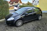 Fiat Punto 1.4 8V Typ 199 - gebrauchte Fiat Punto aus dem Jahr 2008