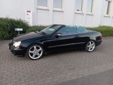 Mercedes-Benz MB CLK 320 Cabrio W209 Avantgarde 18 Zoll ... - Mercedes-Benz CLK-Class in Bielefeld
