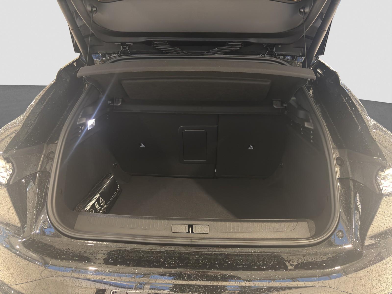 DS Automobiles DS4 Pallas BlueHDI 130 Sitzheizung+Rückfahrkamer
