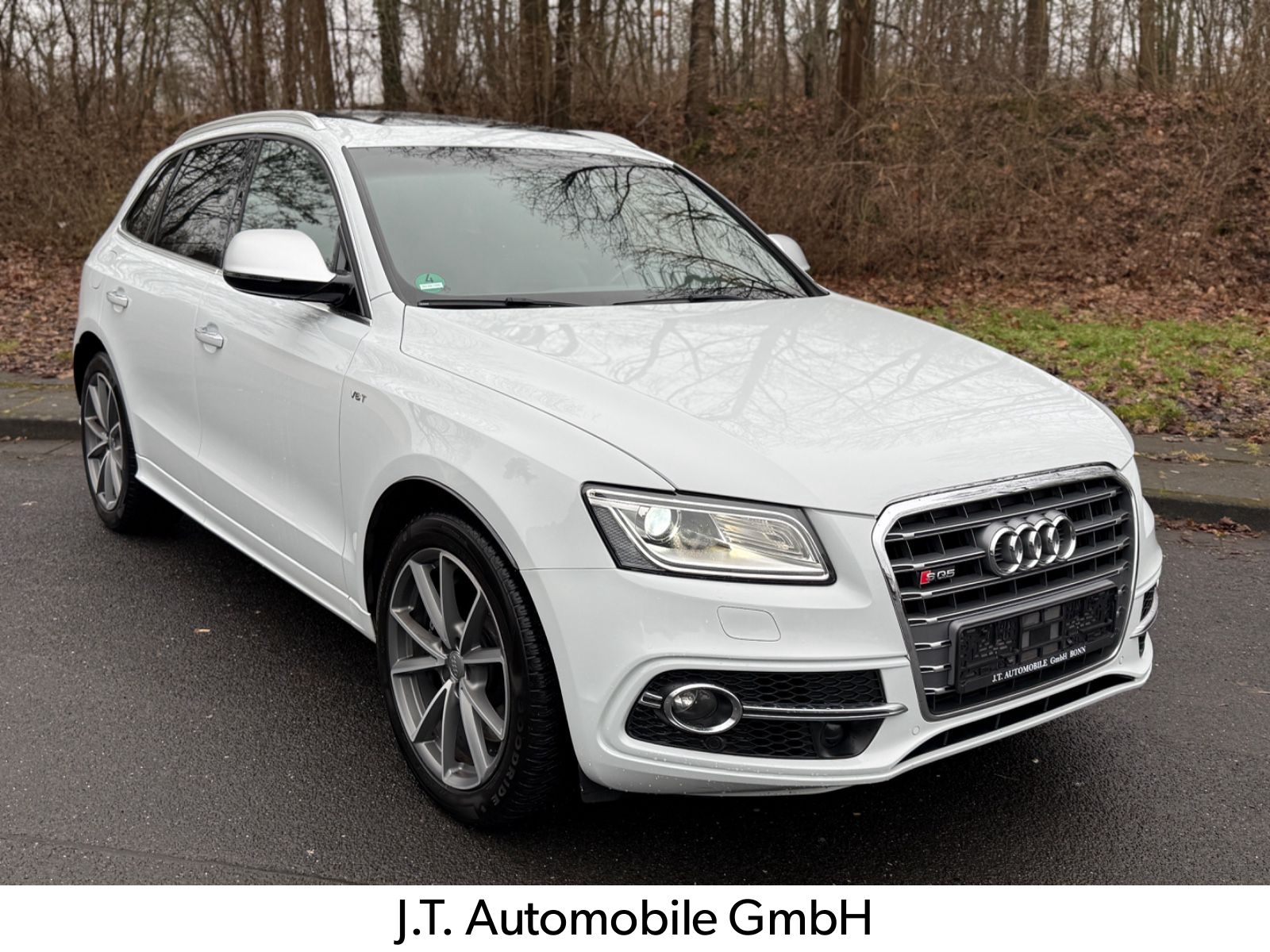 AUDI SQ5 3.0 TDI competition quattro,Panoram