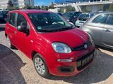Fiat Panda 2016 Klima - Fiat Panda Gebrauchtwagen in Stuttgart