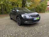 Skoda Octavia 1.4 TSI G-TEC Style 100tkm tüv sep.26  - Skoda Octavia Gebrauchtwagen in Dortmund