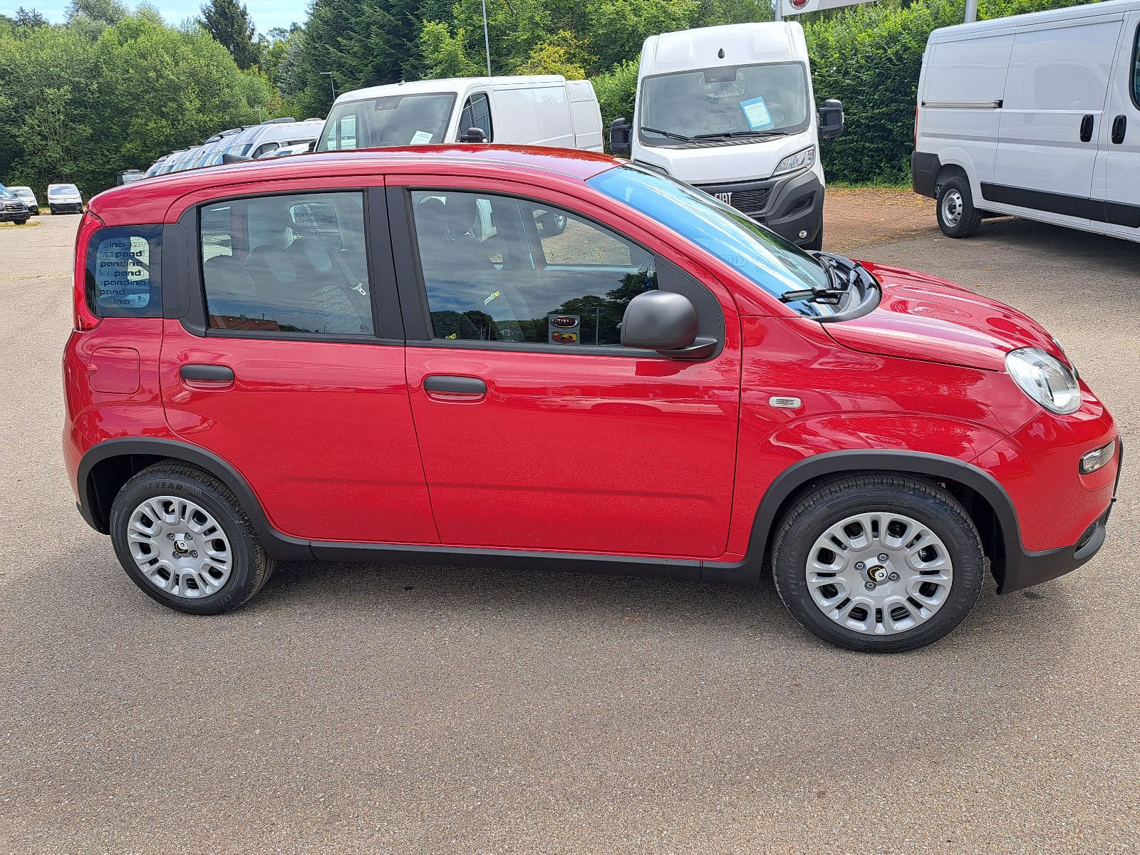 Fahrzeugabbildung Fiat Panda Pandina  / Virtual Cockpit