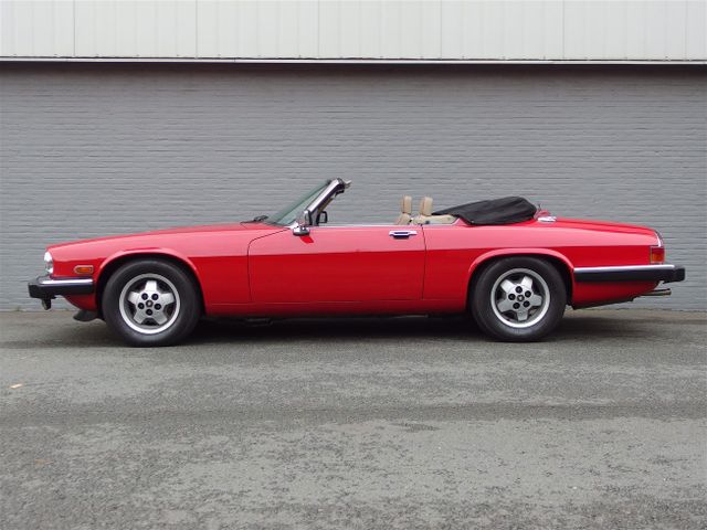 Jaguar XJS Cabriolet (schöne Farbkombi)