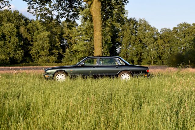 Jaguar Daimler Century Six LWB Spruce Green Metallic