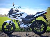 Honda CBF125, TÜV + Inspektion neu, nur 3600 km! - HONDA WEIß CBF 125