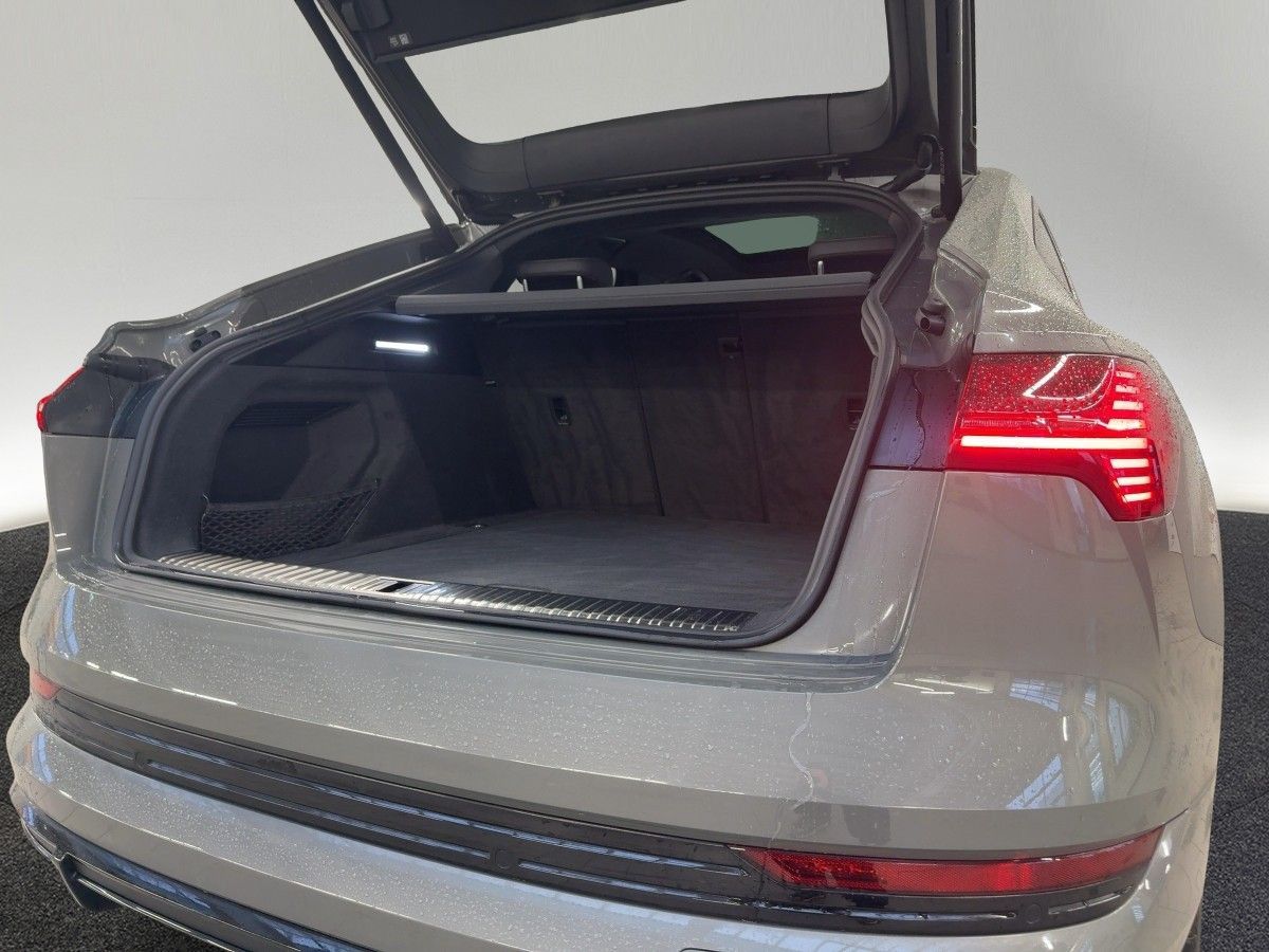 Audi e-tron - Bild 6