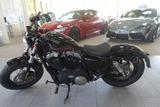 Harley-Davidson Sportster  XL1200X Forty-Eight; Penzl/ 1 Hand - HARLEY-DAVIDSON 2011 FORTY EIGHT