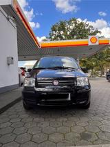 Fiat Panda 169 1.2 60 PS aus 2. Hand!!! - Fiat Panda Gebrauchtwagen in Hamburg