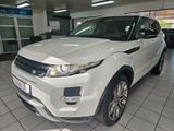 Land Rover Range Rover Evoque Dynamic*PANO*NAV*KAM*LEDER* - Land Rover: Geländewagen