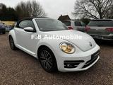 Volkswagen Beetle Cabriolet Sound BMT/Start-Stopp/TOP! - VW Beetle Gebrauchtwagen in Bremen