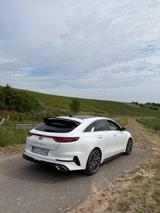 Kia pro_cee'd / ProCeed 1.6 T-GDI DCT GT GT - Kia pro cee'd / ProCeed von privat