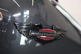 Harley-Davidson Softail FXSTI  - HARLEY-DAVIDSON FXST