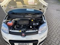 Fiat Panda - Vorschau Bild 14