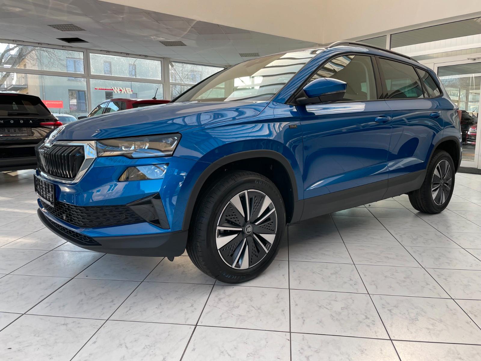 Skoda Karoq 1.5 TSI DSG Tour*Assist*Winter*Navi*AHK