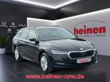 Skoda Octavia Combi 2.0 TDI DSG Ambition LED+Navi+SHZ - Skoda Octavia: TDI Dsg