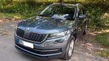 Skoda Kodiaq 2.0 TDI 190PS DSG 4x4 PANO SHZ ACC NAVI - Skoda Kodiaq: Von Privat