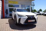 Lexus UX 250h E-FOUR F-SPORT 3 Jahre Garantie - Lexus aus 2019
