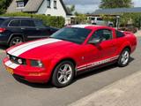 Ford Mustang 4.0 V6 Fastback Coupe automatik Defect 2 - Ford Mustang aus 2005: V6