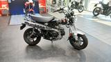 Honda DAX 125 - HONDA DAX 125
