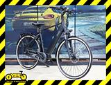 QWIC Premium i MN8+C 8-G Nexus 80Nm Rücktritt Gr. M/L - QWIC E-Bikes
