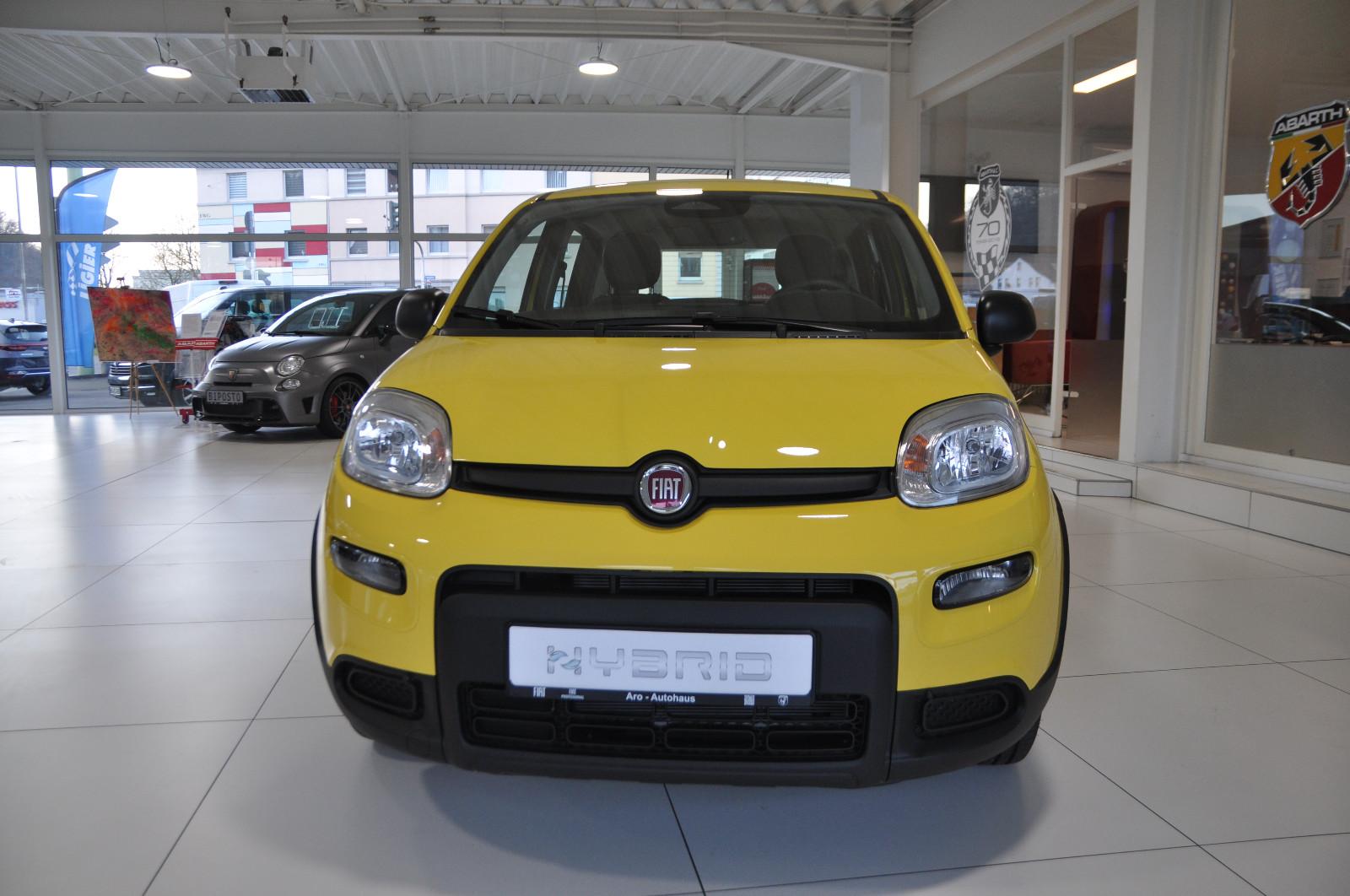 Fiat Pandina