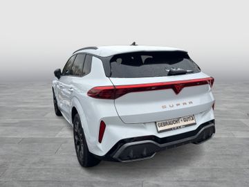 Cupra Terramar - 2