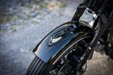 Harley-Davidson FLSTS - HARLEY-DAVIDSON 2005